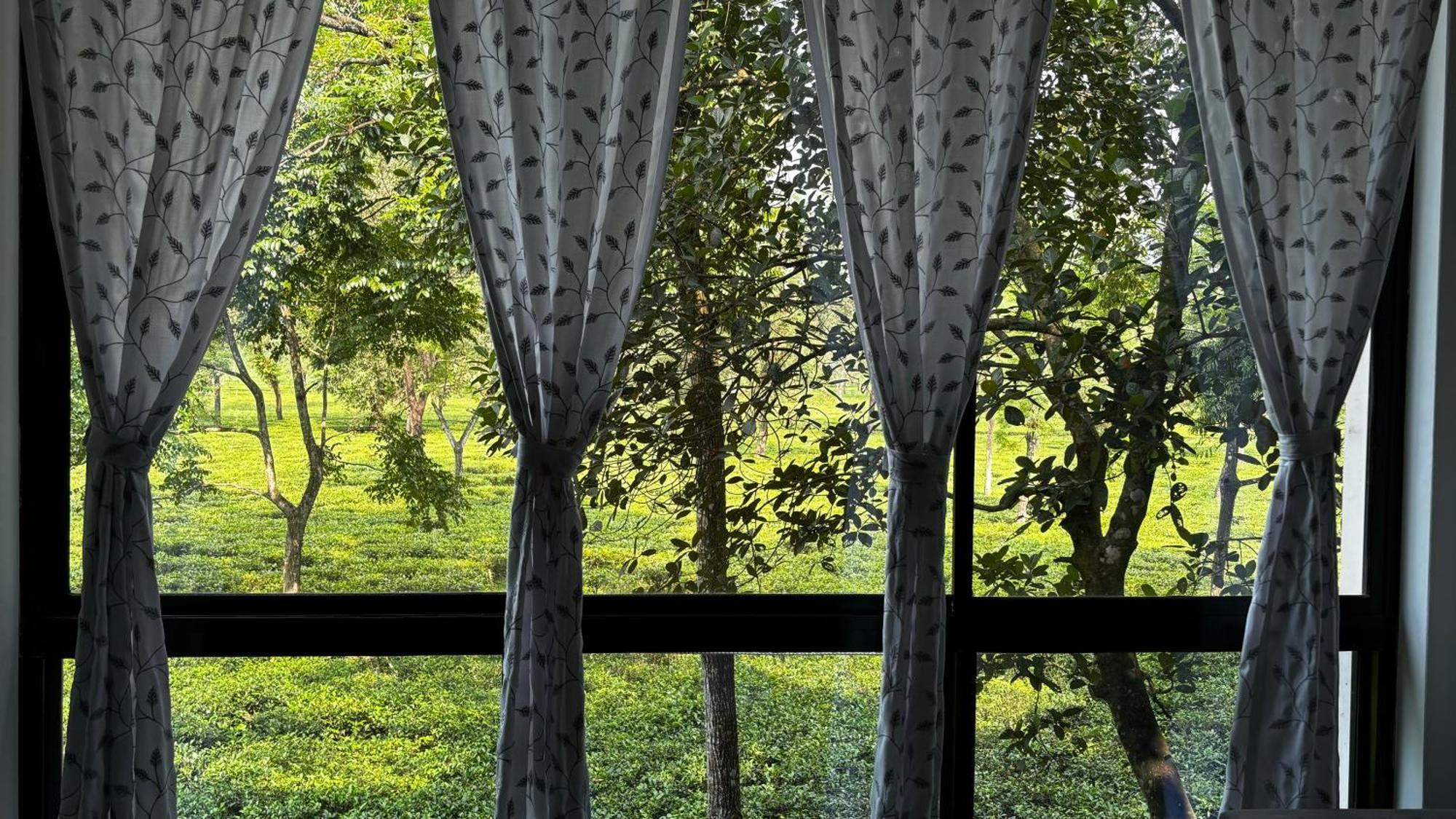 Roots By Mount Olive Homestay *