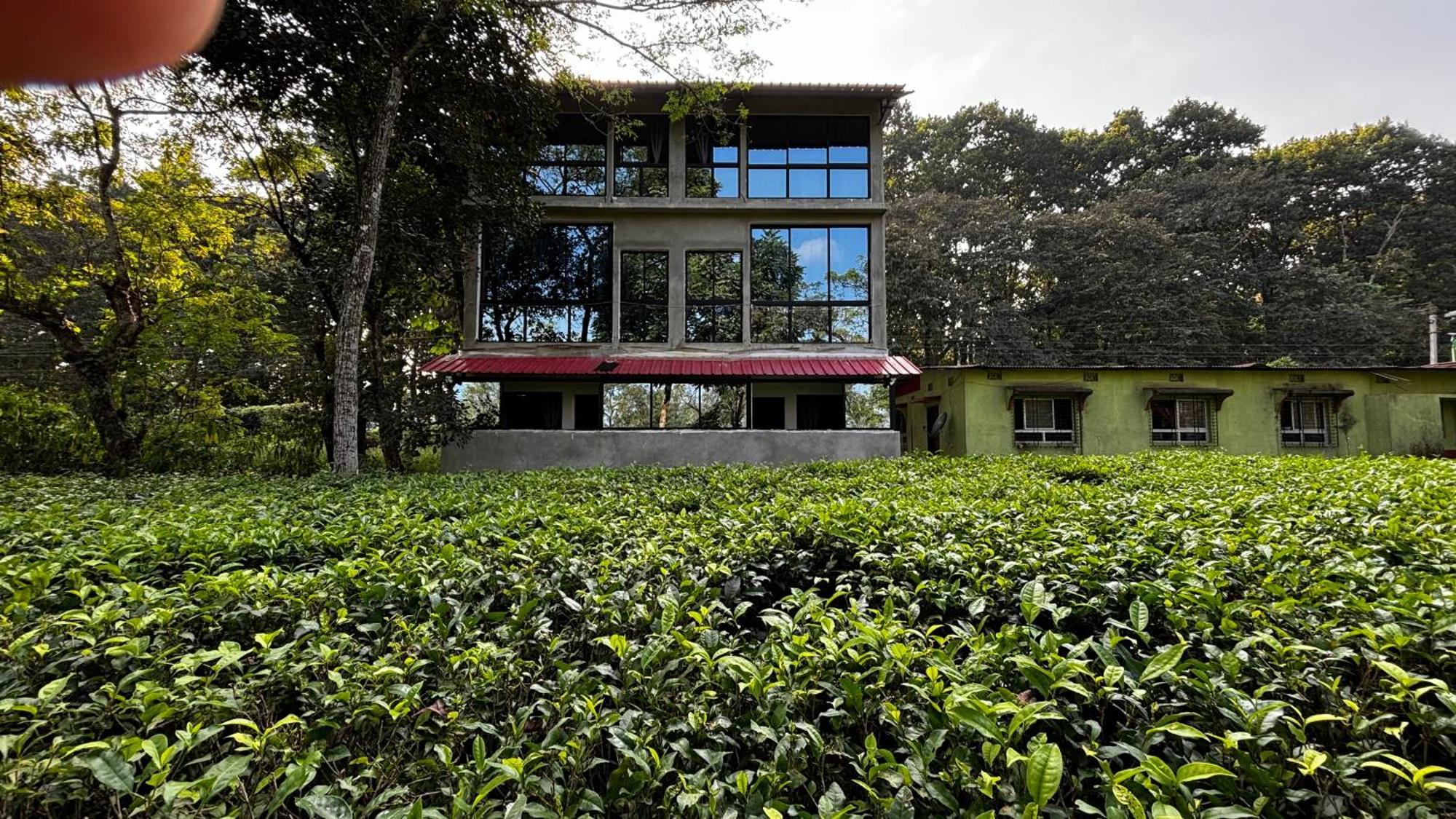 Roots By Mount Olive Homestay *